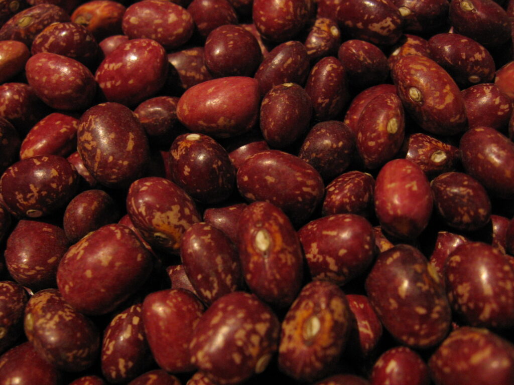 Beans Pinto Mature Seeds Canned Drained Solids Rinsed In Tap Water