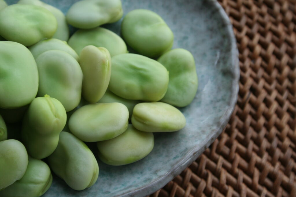 Broadbeans Fava Beans Mature Seeds Cooked Boiled With Salt