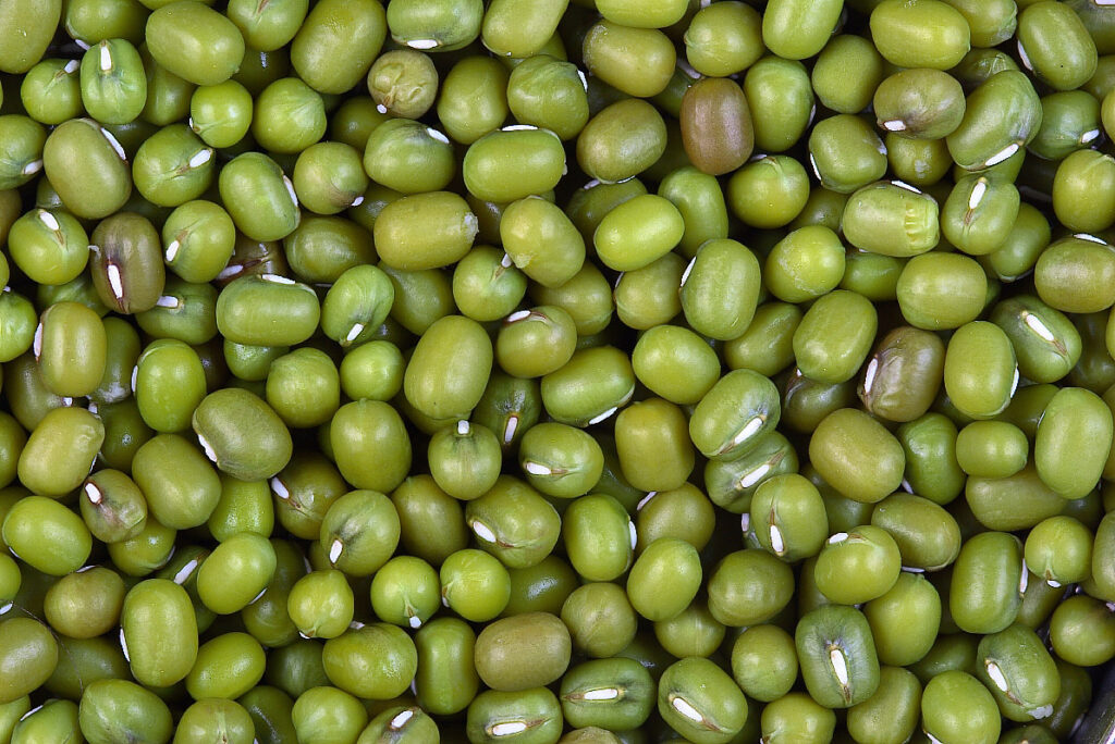 Mung Beans Mature Seeds Cooked Boiled With Salt Calorie Calculator