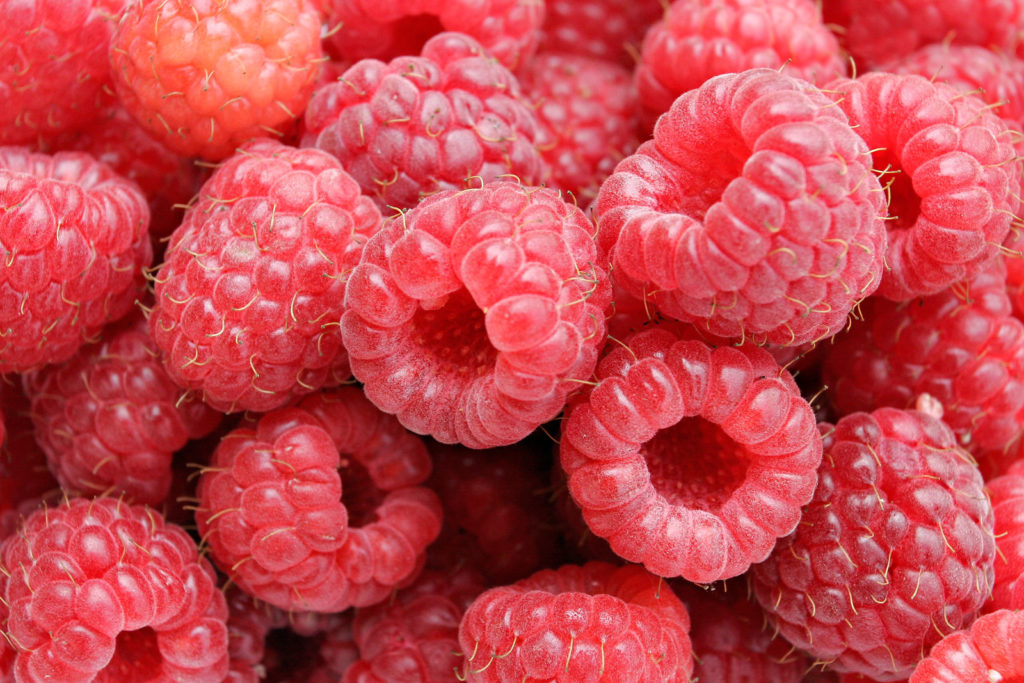 Raspberries, canned, red, heavy syrup pack, solids and liquids ...